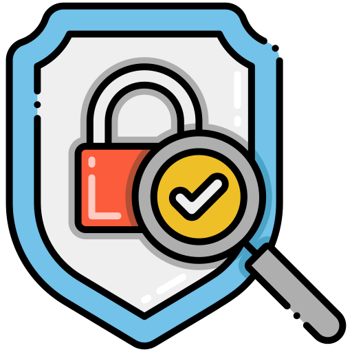 Security Audit